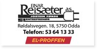 Annonse Einar Reisaeter El Proffen