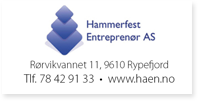 Annonse Hammerfest Entreprenør