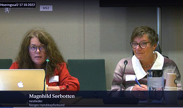 Magnhild Sørbotten og Tove Linnea Brandvik i høringssalen, skjermdump fra Stortingets nett-TV